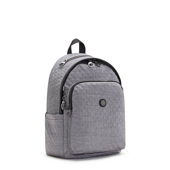 Kipling Delia Klassiska Ryggsäck Silver | SE 1660WN